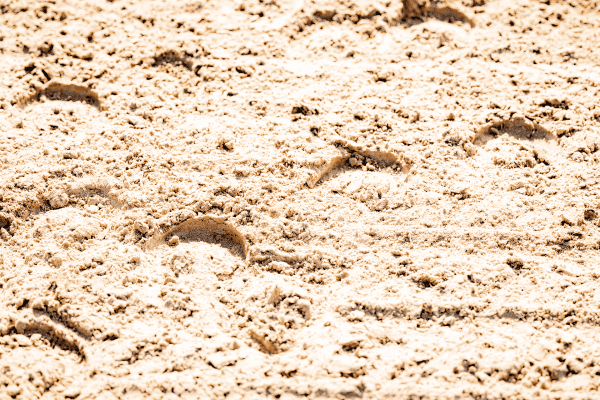 ArenaMend Sample Kit - Image 4
